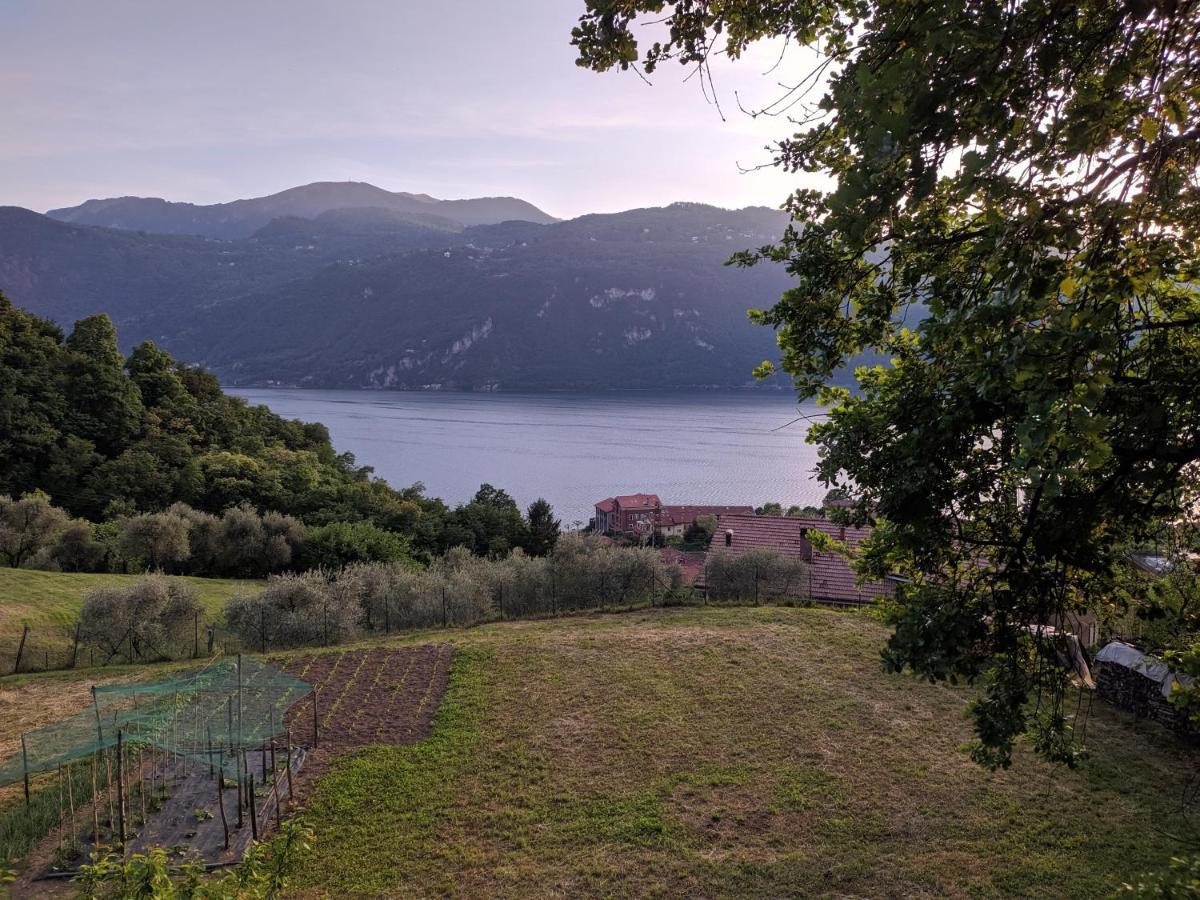 La Casetta Nel Bosco - Hot Tube And Sauna Lierna Exterior photo